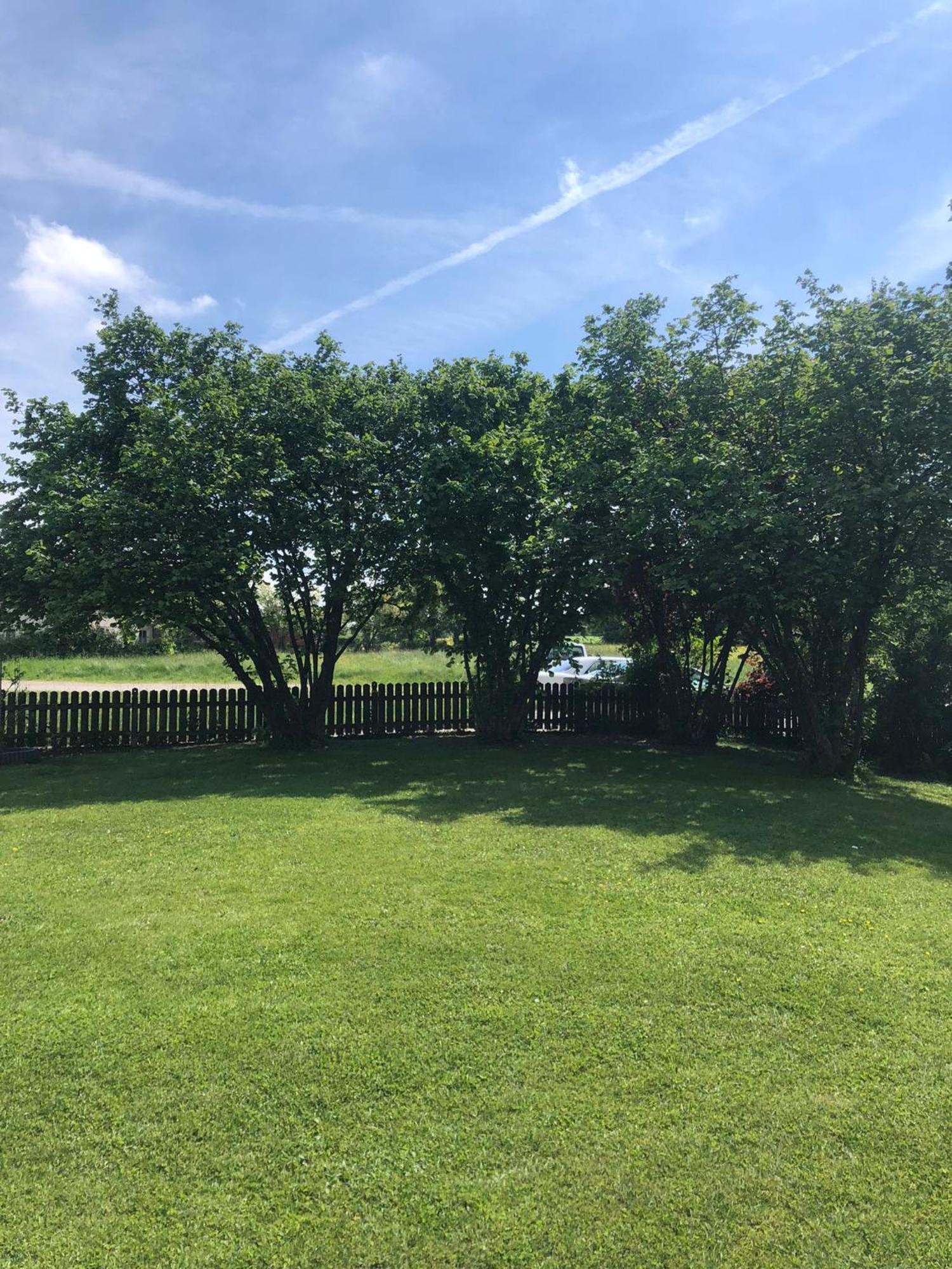 Gemuetliche Blockhuette Mit Grossem Garten Ried im Innkreis Exterior foto